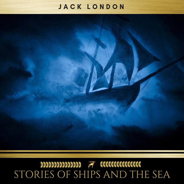 Book cover for Stories of Ships and the Sea