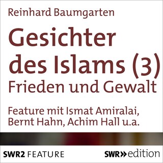 Gesichter des Islams - Frieden und Gewalt als Hörbuch