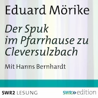 Der Spuk im Pfarrhause zu Cleversulzbach