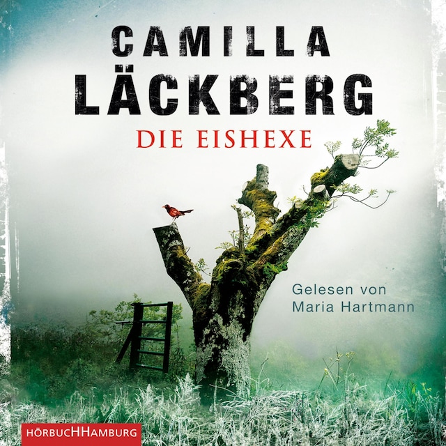 Book cover for Die Eishexe (Ein Falck-Hedström-Krimi 10)
