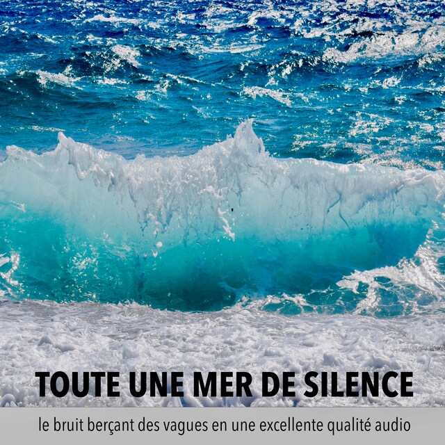 Couverture de livre pour une mer de tranquillité, un océan de calme, toute une mer de silence