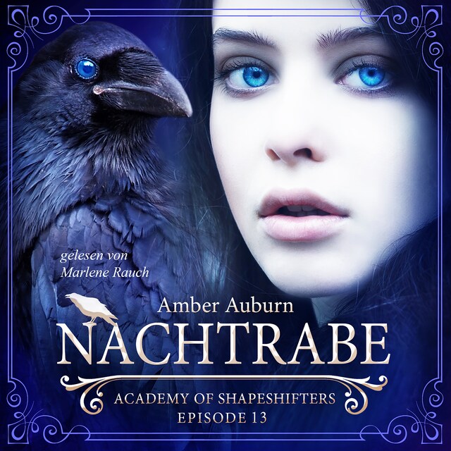 Book cover for Nachtrabe, Episode 13 - Fantasy-Serie