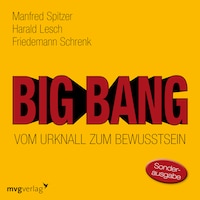 Big Bang: Vom Urknall zum Bewusstsein