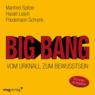 Big Bang: Vom Urknall zum Bewusstsein als Hörbuch