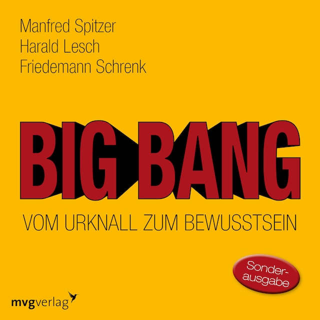 Buchcover für Big Bang: Vom Urknall zum Bewusstsein