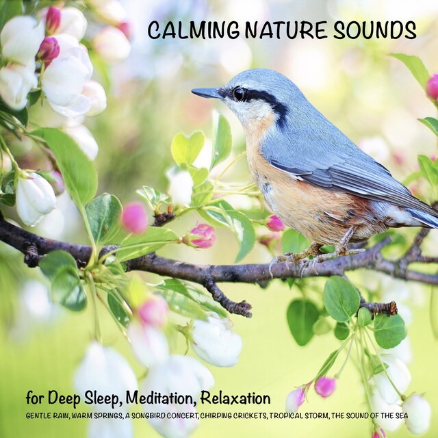 Calming Nature Sounds (without music) for Deep Sleep, Meditation, Relaxation