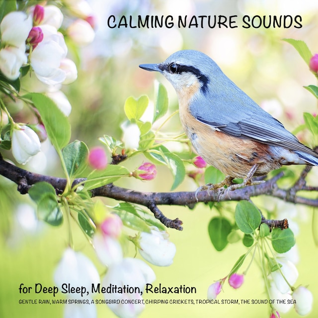 Bogomslag for Calming Nature Sounds (without music) for Deep Sleep, Meditation, Relaxation