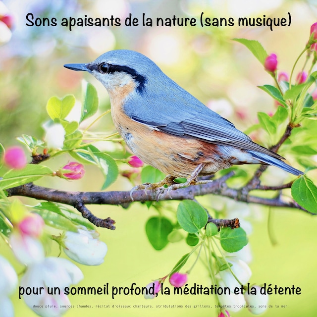 Book cover for Sons apaisants de la nature (sans musique) pour un sommeil profond, la méditation et la détente