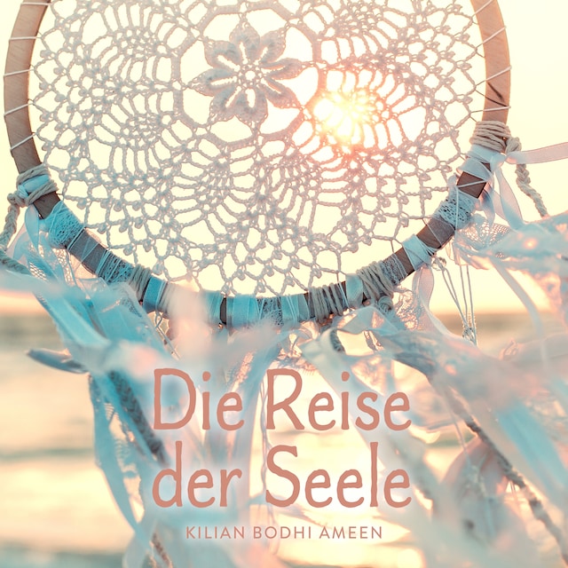 Book cover for Die Reise der Seele