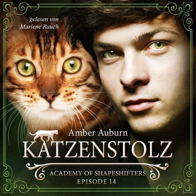 Book cover for Katzenstolz, Episode 14 - Fantasy-Serie