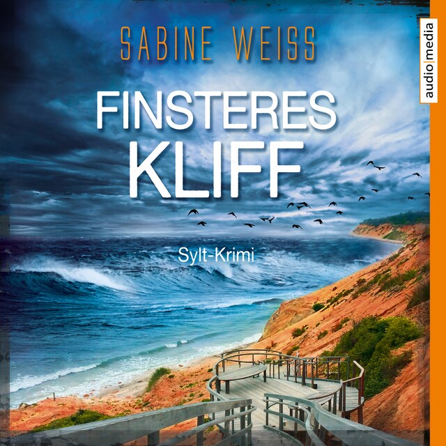 Book cover for Finsteres Kliff