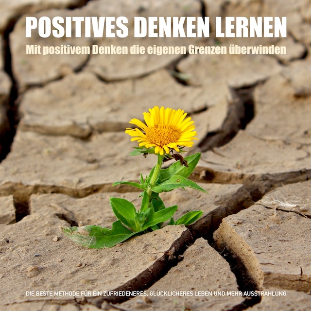 Couverture de livre pour Positives Denken lernen