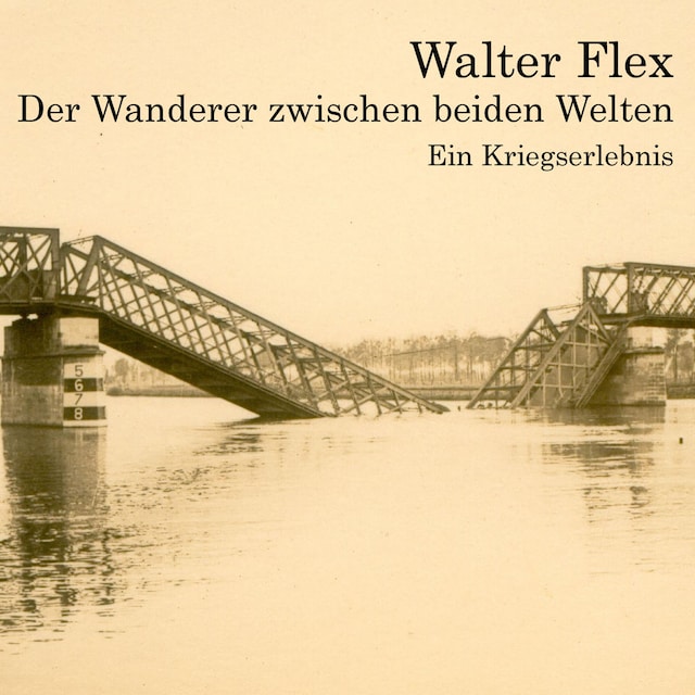 Book cover for Der Wanderer zwischen beiden Welten