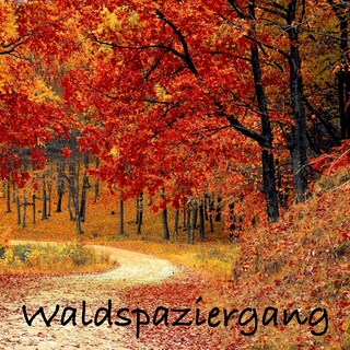 Waldspaziergang: Naturgeräusche und Meditationen (ohne Musik) zur Entspannung von Körper und Geist als Hörbuch
