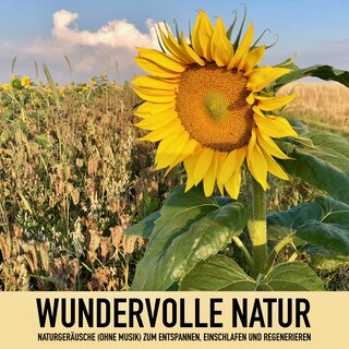 Wundervolle Natur: Naturgeräusche (ohne Musik) zum Entspannen, Regenerieren und Einschlafen als Hörbuch