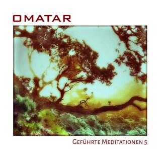 Geführte Meditationen 5 als Hörbuch