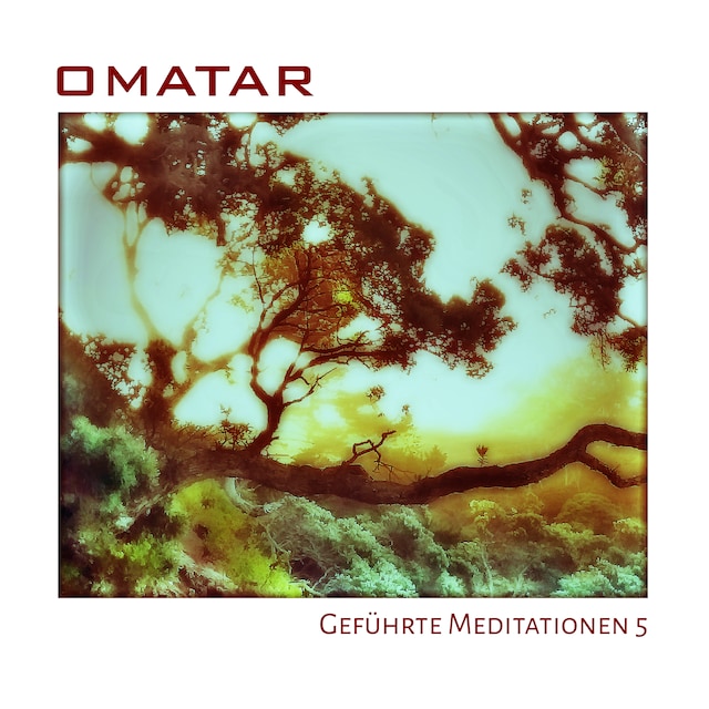 Book cover for Geführte Meditationen 5