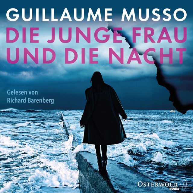 Book cover for Die junge Frau und die Nacht