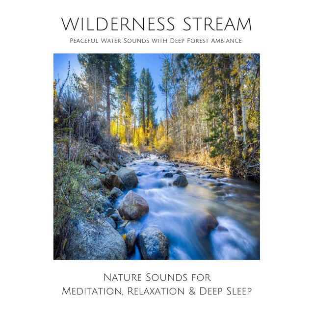 Wilderness Stream (without music) - Peaceful Water Sounds with Deep Forest Ambience