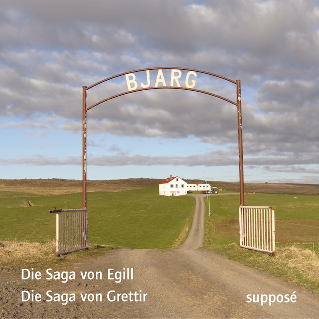 Book cover for Die Saga-Aufnahmen (II)