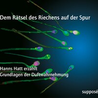 Dem Rätsel des Riechens auf der Spur