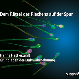 Dem Rätsel des Riechens auf der Spur als Hörbuch