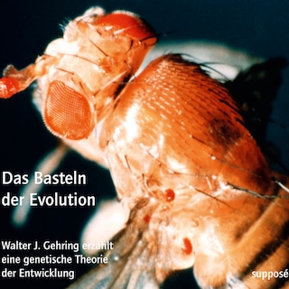 Das Basteln der Evolution als Hörbuch