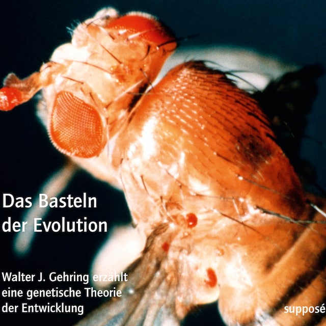 Book cover for Das Basteln der Evolution