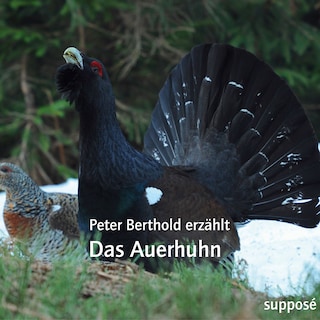 Das Auerhuhn als Hörbuch