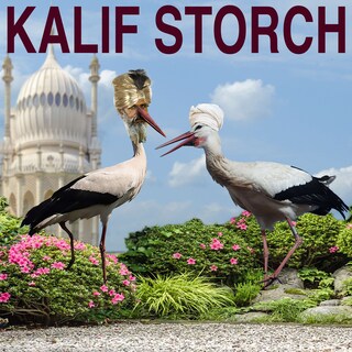 Kalif Storch als Hörbuch