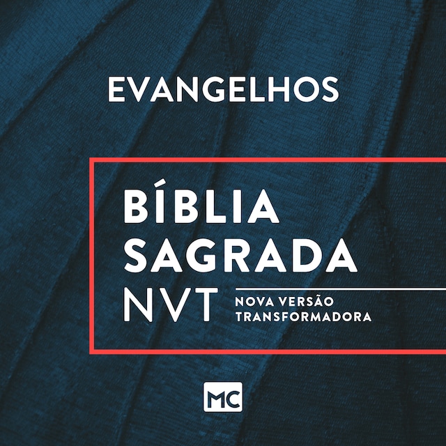 Book cover for Bíblia NVT - Evangelhos
