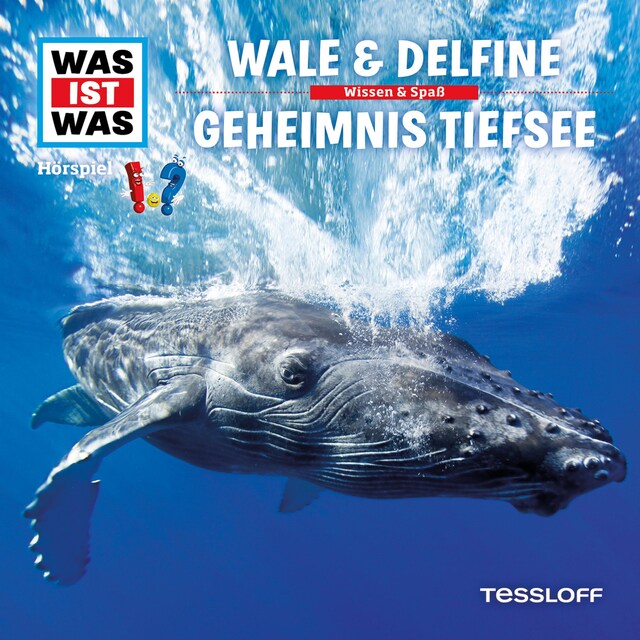 Buchcover für 13: Wale & Delfine / Geheimnis Tiefsee
