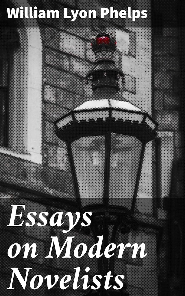 Couverture de livre pour Essays on Modern Novelists