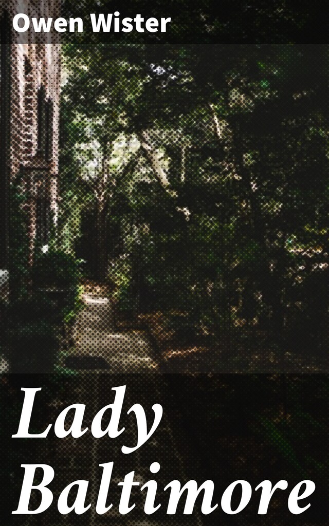 Book cover for Lady Baltimore