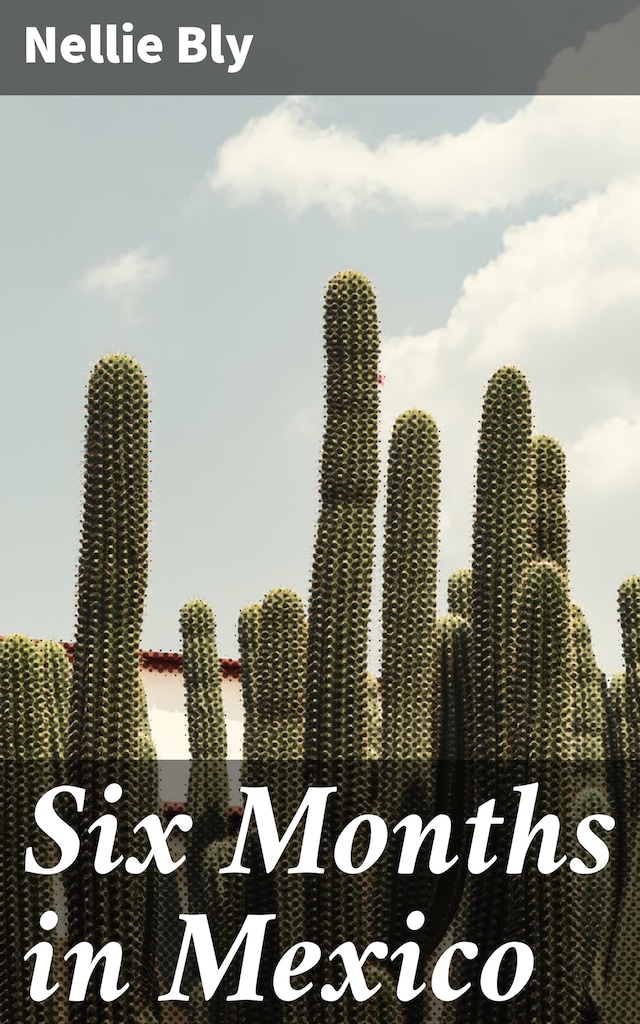 Book cover for Six Months in Mexico