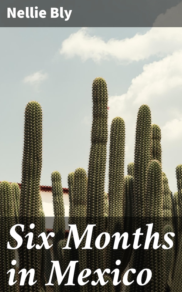 Couverture de livre pour Six Months in Mexico