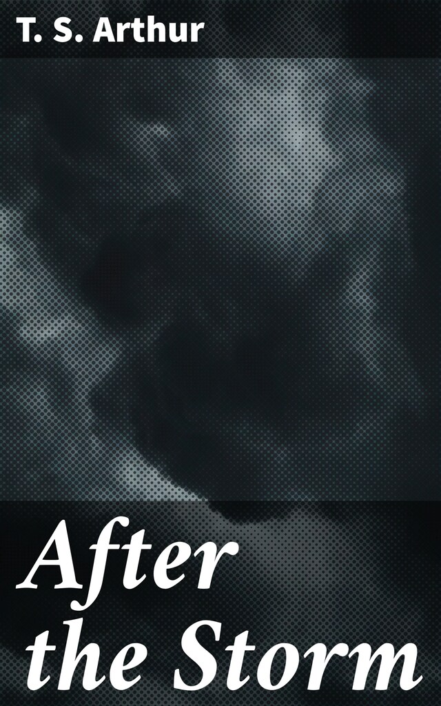 Okładka książki dla After the Storm