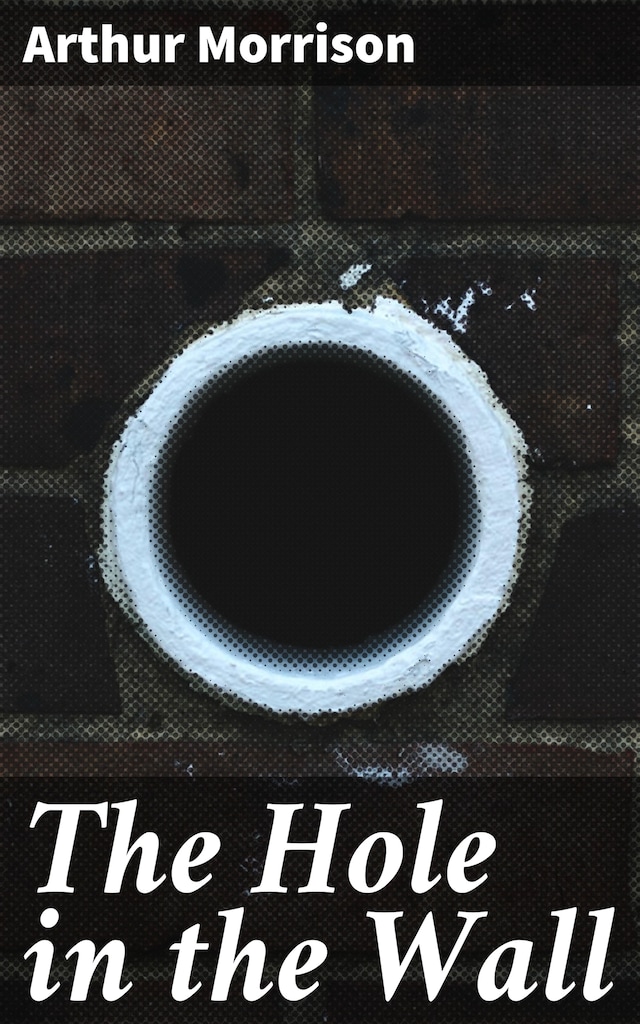 Copertina del libro per The Hole in the Wall