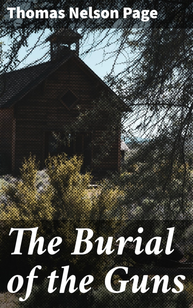 Book cover for The Burial of the Guns