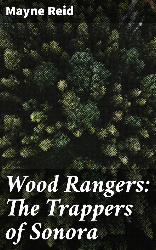 Bokomslag for Wood Rangers: The Trappers of Sonora