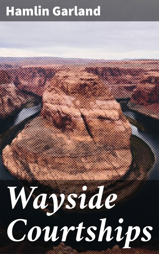Okładka książki dla Wayside Courtships