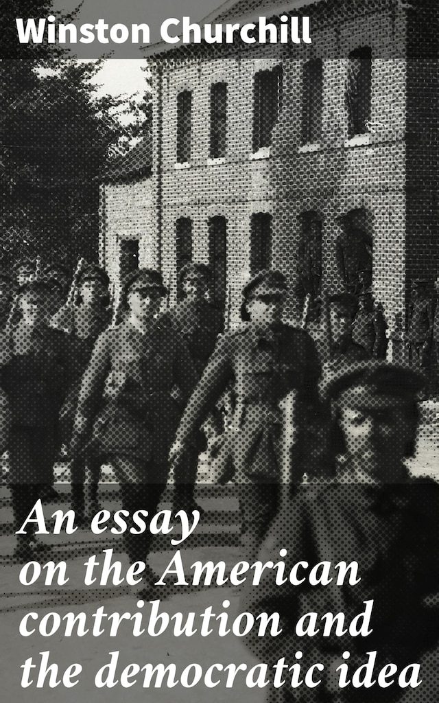 Book cover for An essay on the American contribution and the democratic idea