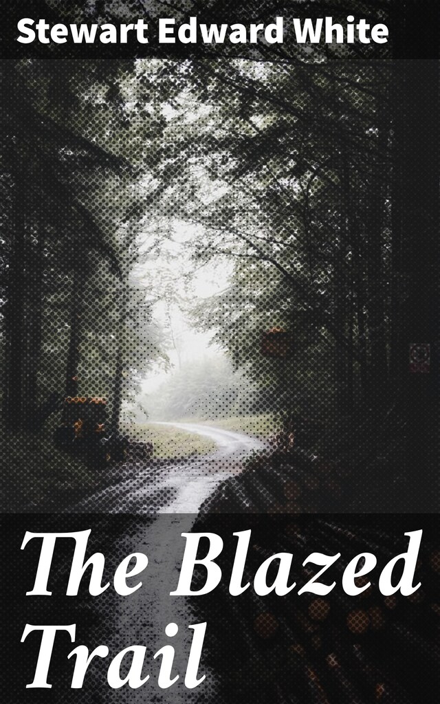 Boekomslag van The Blazed Trail