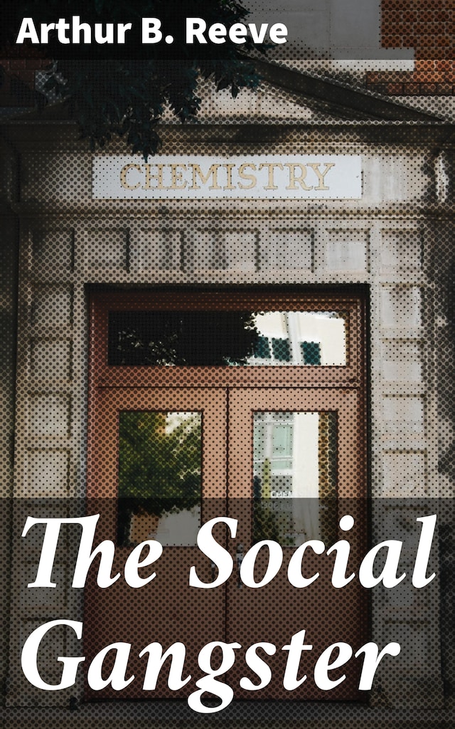 Book cover for The Social Gangster