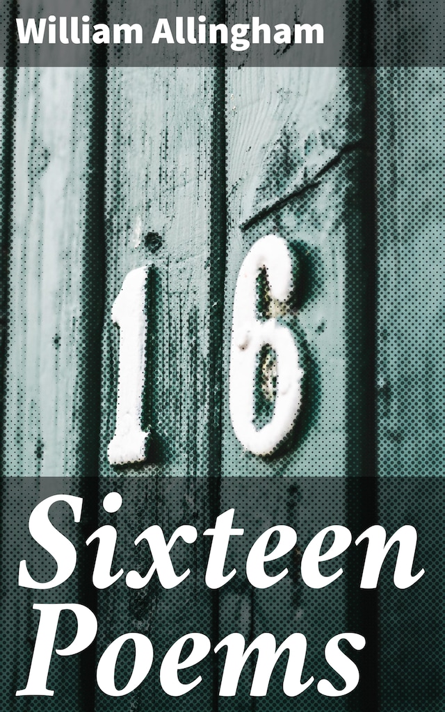 Book cover for Sixteen Poems