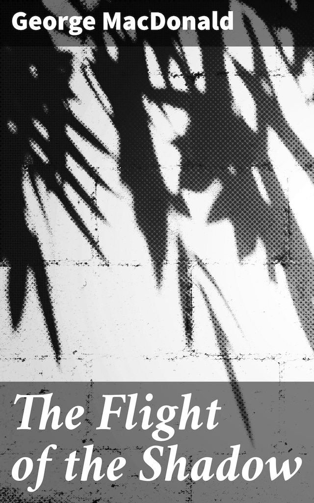 Bogomslag for The Flight of the Shadow