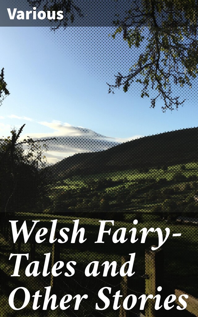 Book cover for Welsh Fairy-Tales and Other Stories