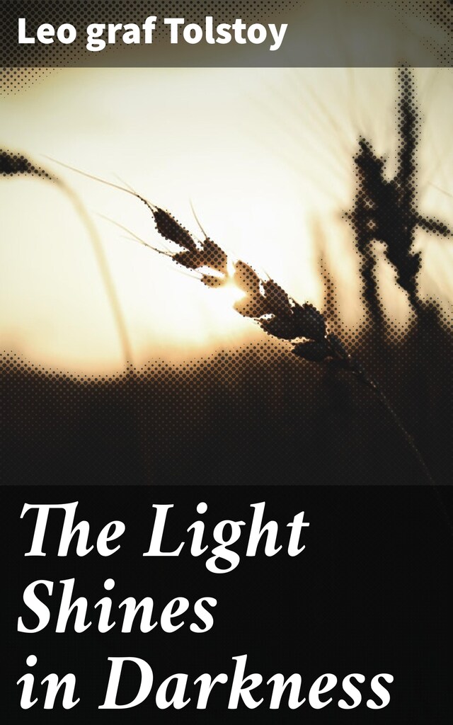 Book cover for The Light Shines in Darkness