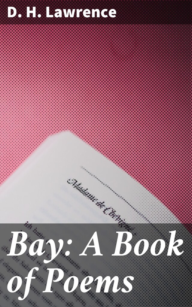 Buchcover für Bay: A Book of Poems