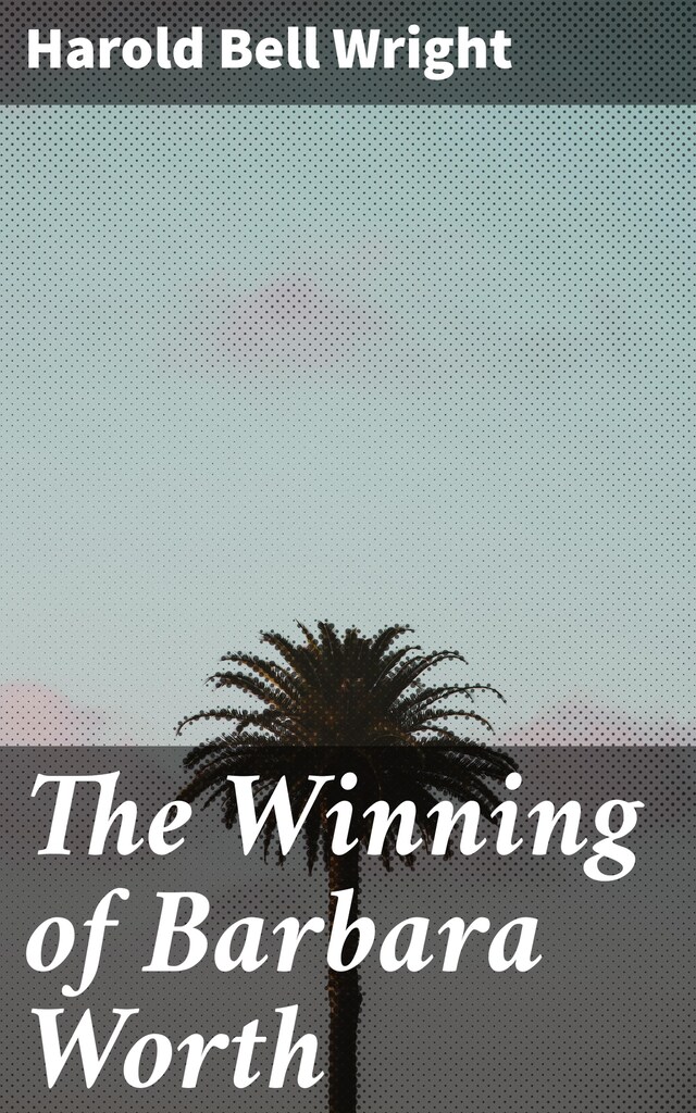 Book cover for The Winning of Barbara Worth